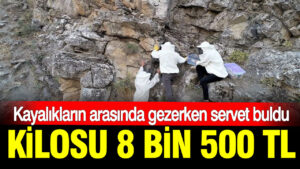 haber-gorseli-1786371645152