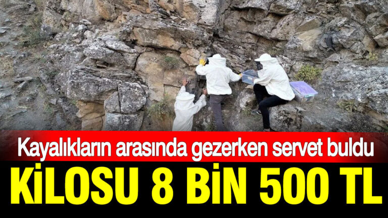 haber-gorseli-1786371645152